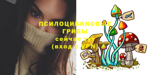 прущая мука Алзамай